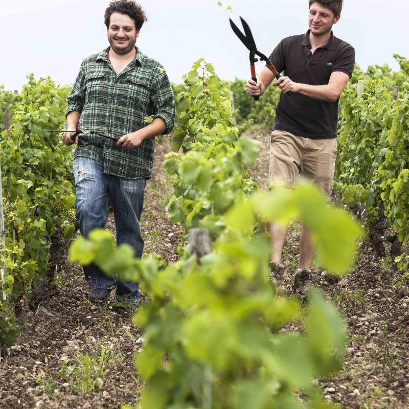 Macon Villages Les Sardines 2022 Magnum