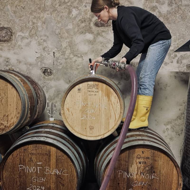 Pinot Bianco Riserva 2022
