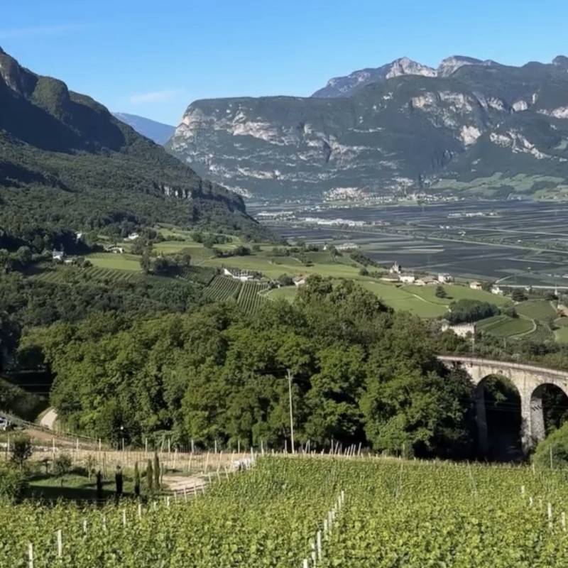Pinot Bianco Riserva 2022