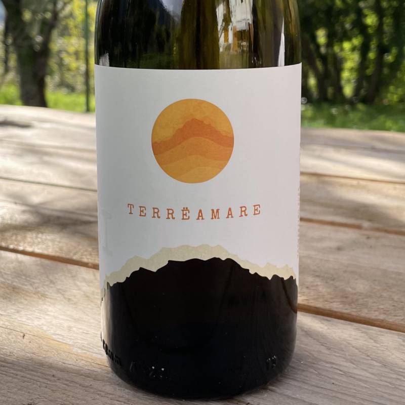 Terremare 2024