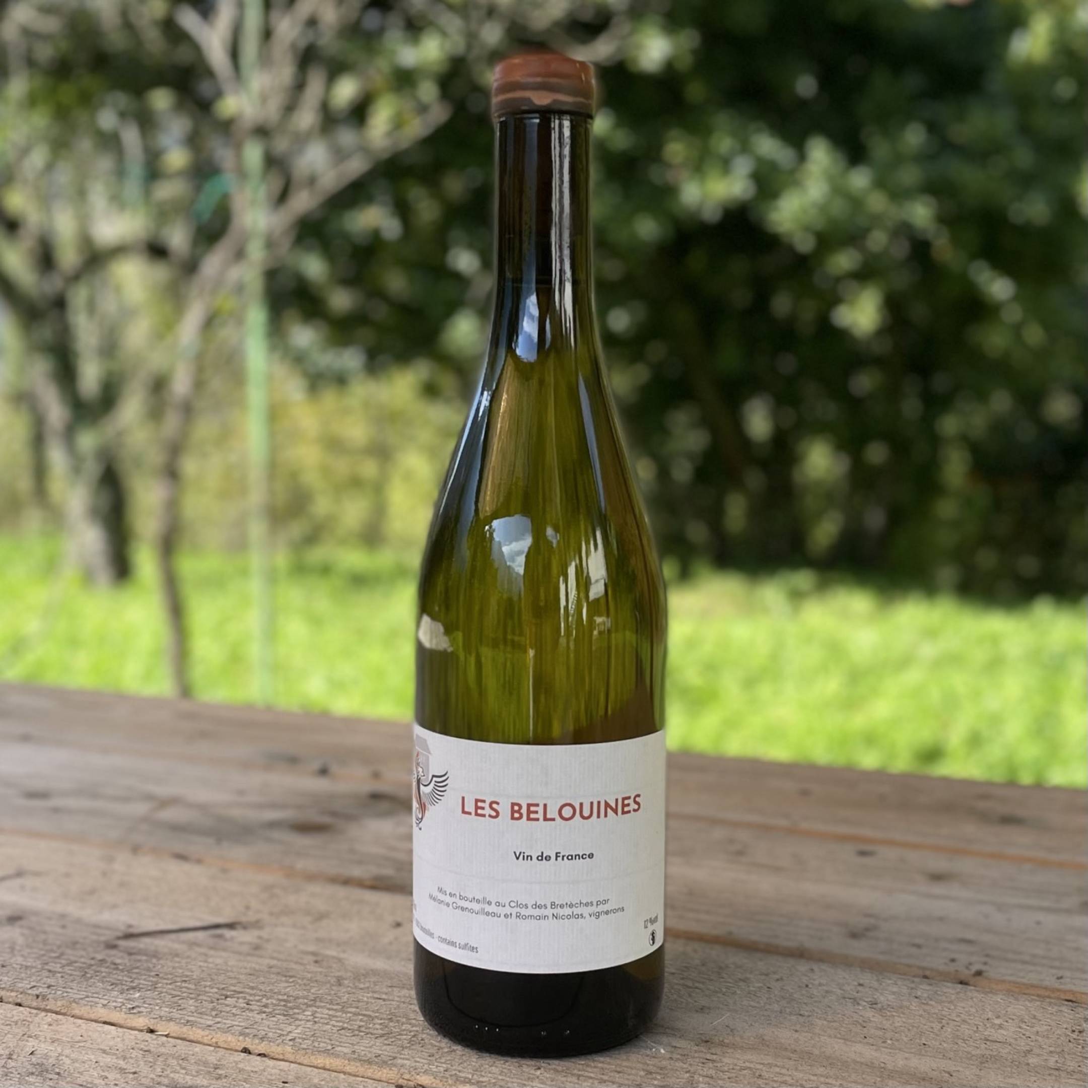 Clos des Breteches Clos des Breteches Les Belouines 2023