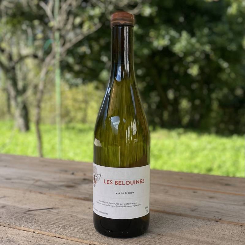 Clos des Breteches Les Belouines 2023