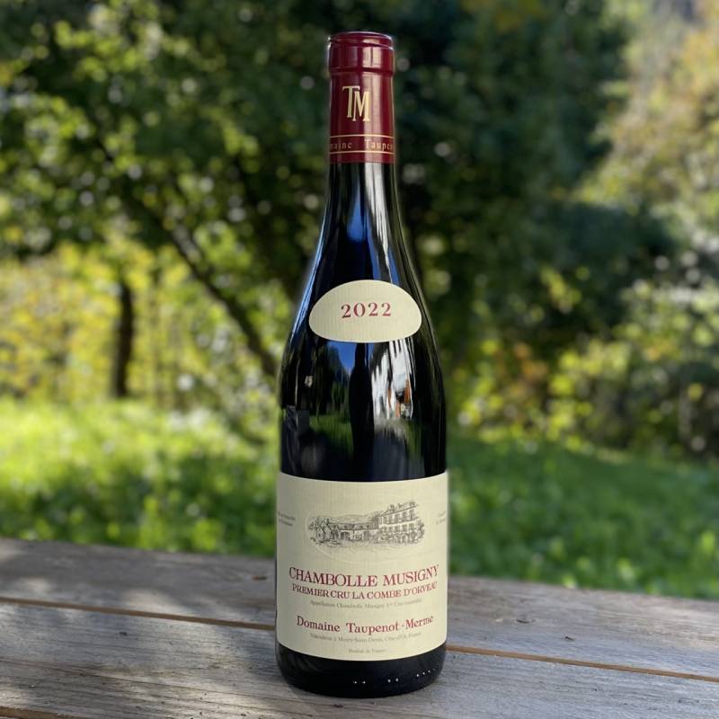 Chambolle Musigny La Combe D'orveau 1er Cru 2022