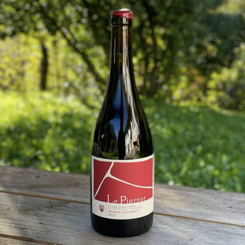 Coteaux Bourguignon Le Pierrots 2020