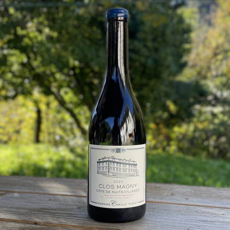Cote de Nuits Clos Magny 2022