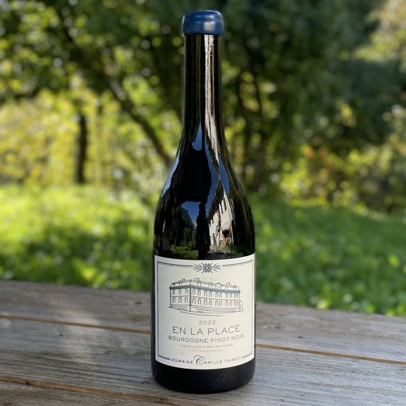 Bourgogne Pinot Noir En la Place 2022