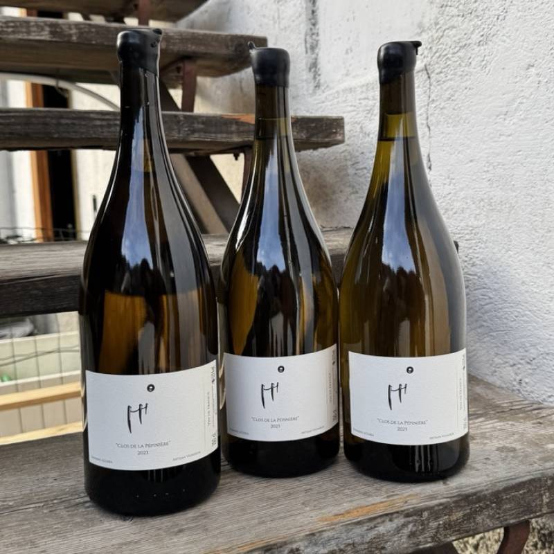 Mystery Wild Box - CHAMPAGNE WILD