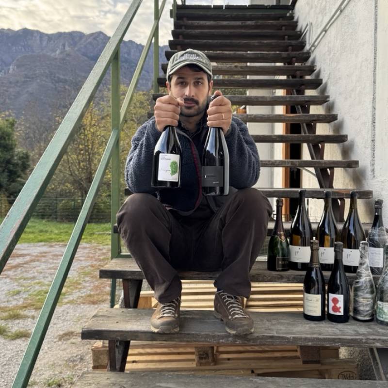 Mystery Wild Box - CHAMPAGNE WILD