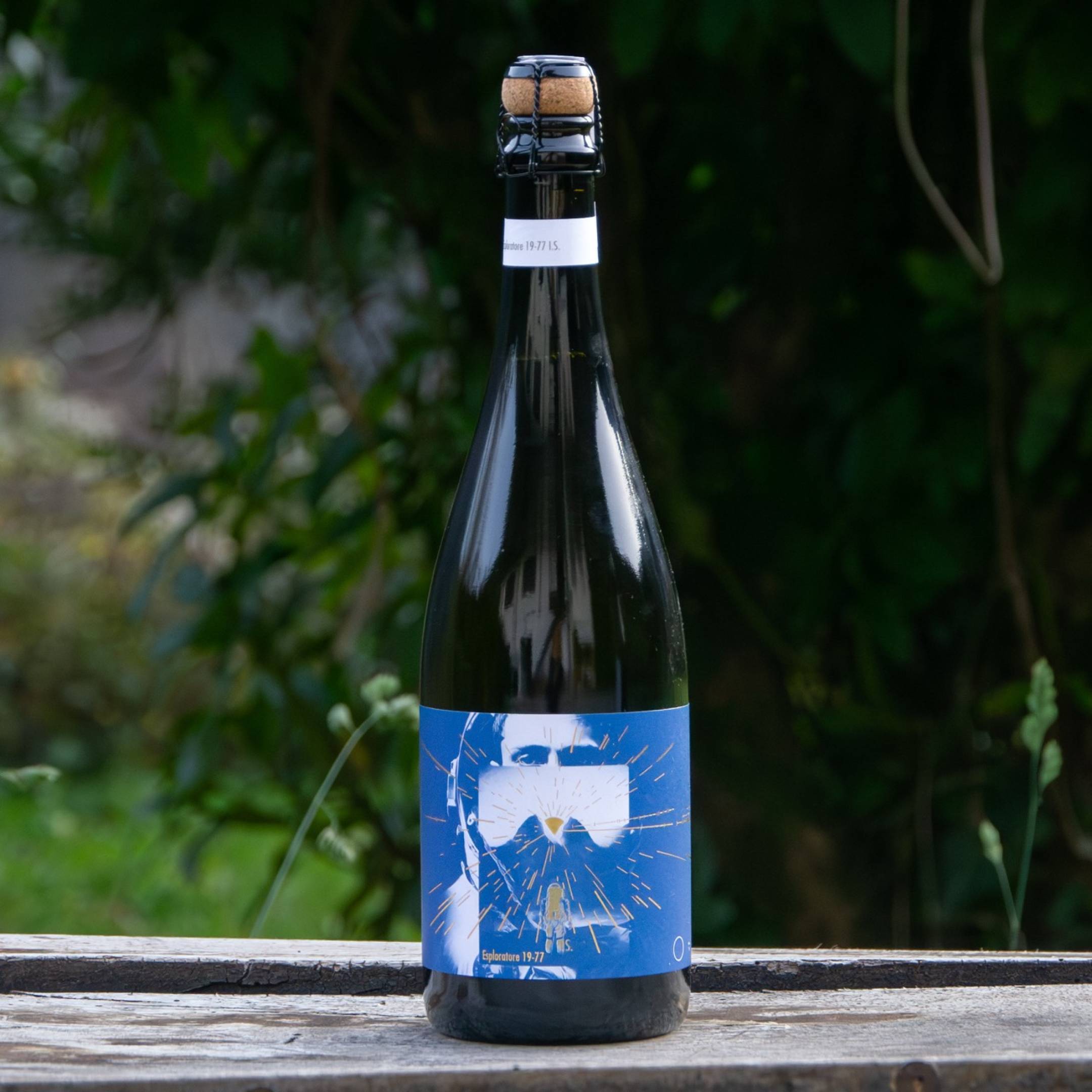 Alberto Nivelli L'Esploratore