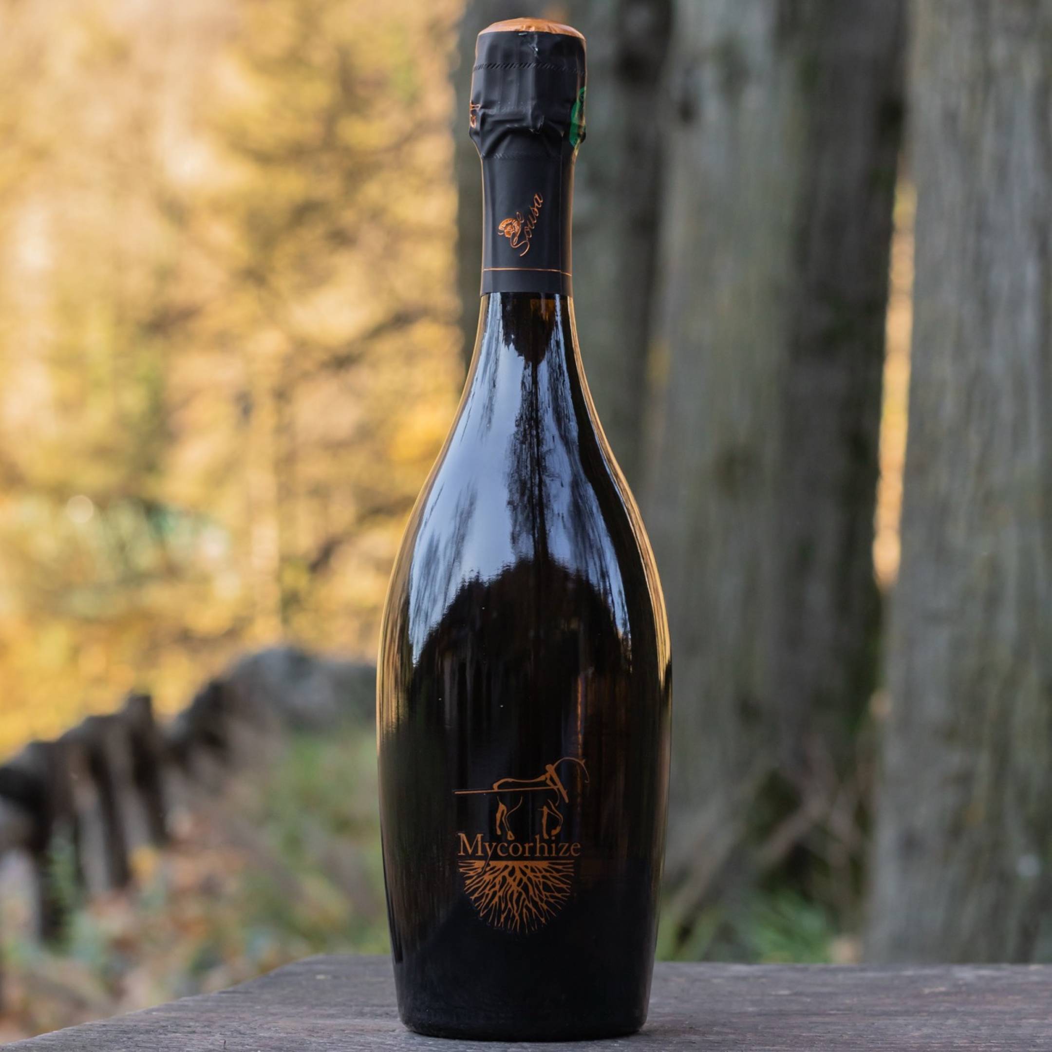 De Sousa Champagne Cuvee Mycorhize Grand Cru