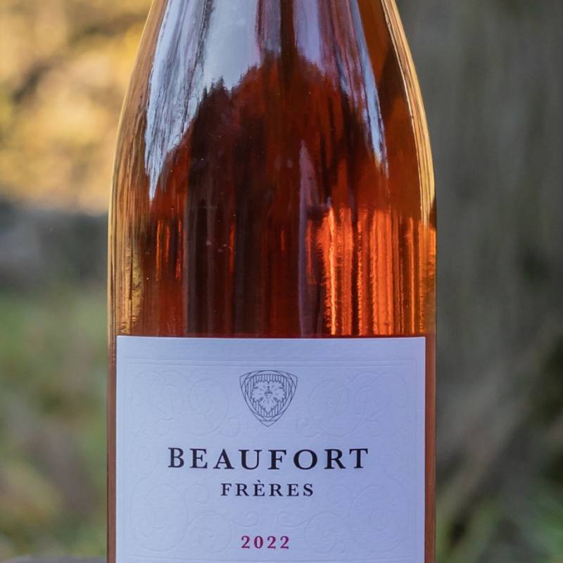 Beaufort Mosseux 2022 Rose