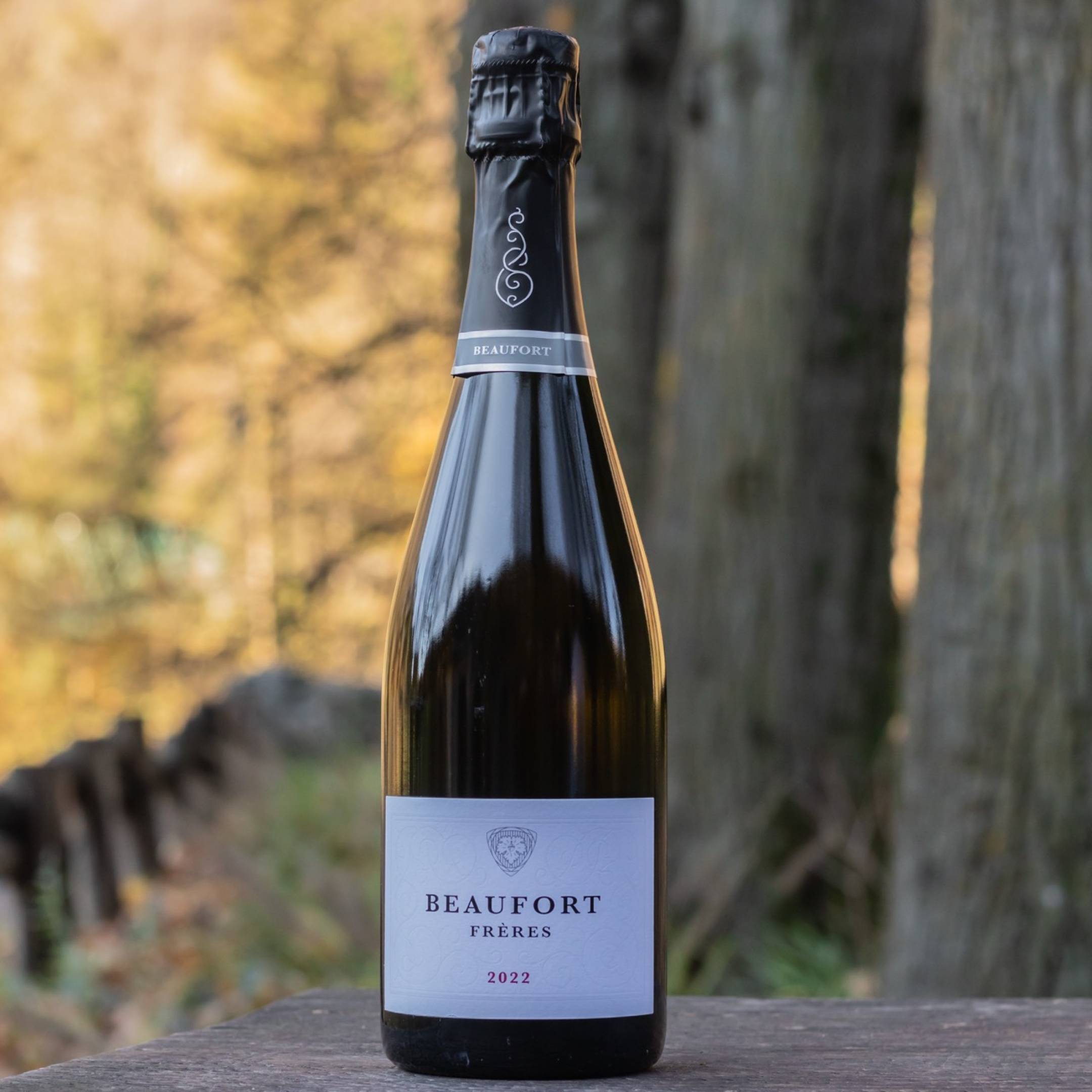 Beaufort Freres Beaufort Mosseux 2021 Blanc