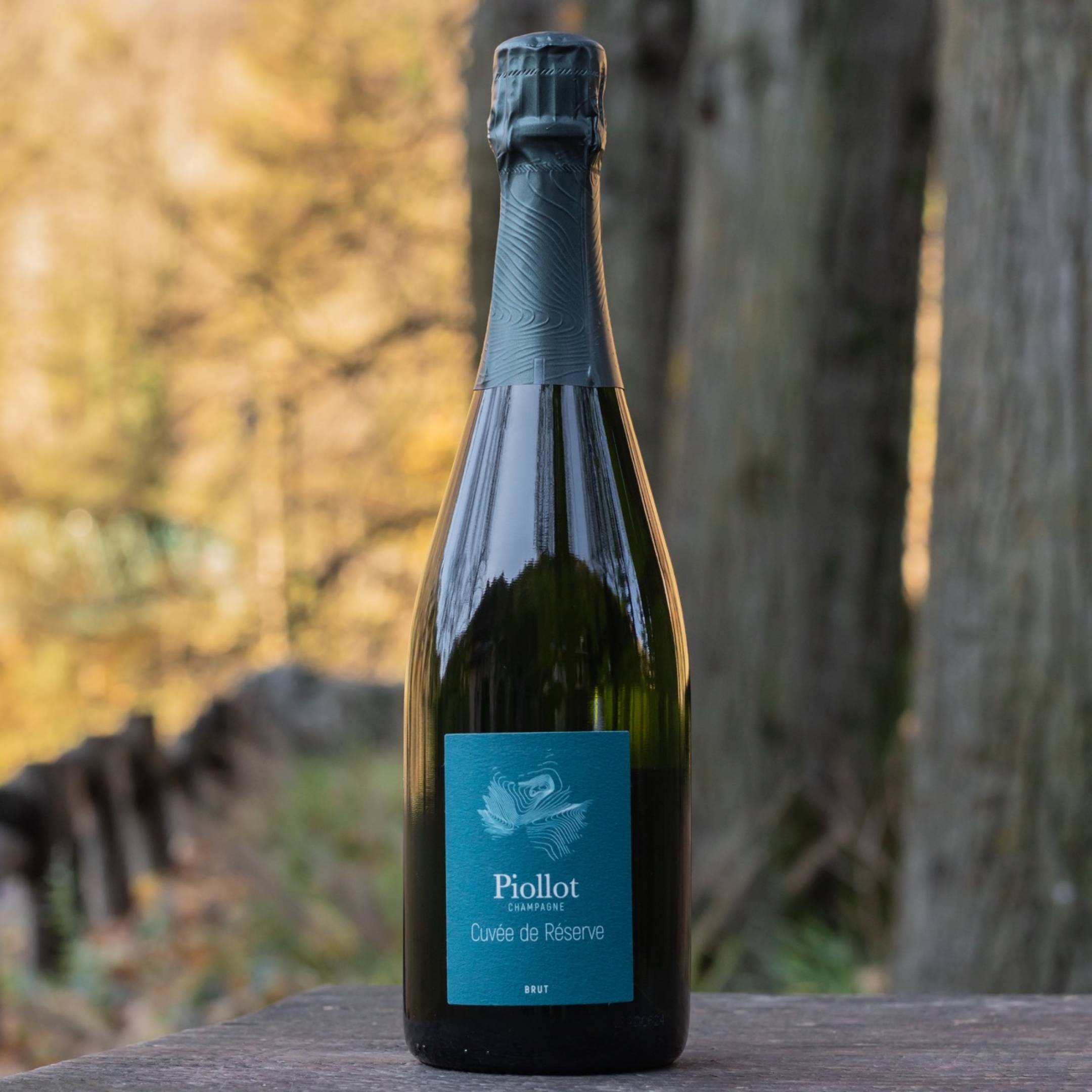 Domaine Piollot Champagne Brut Reserve