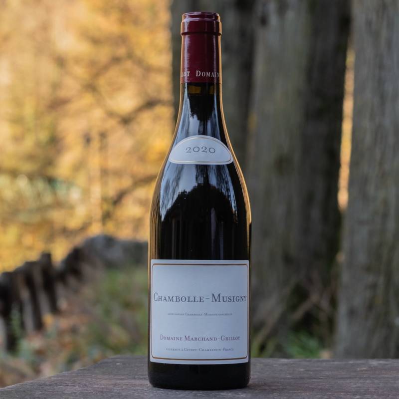Chambolle Musigny 2020