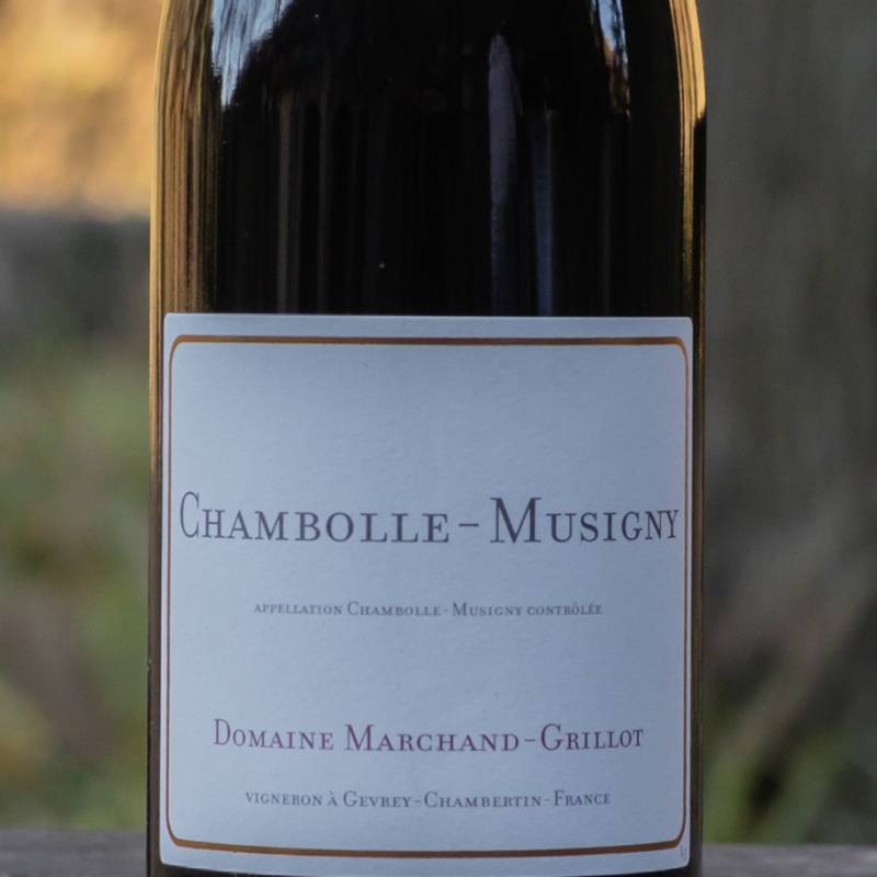 Chambolle Musigny 2020