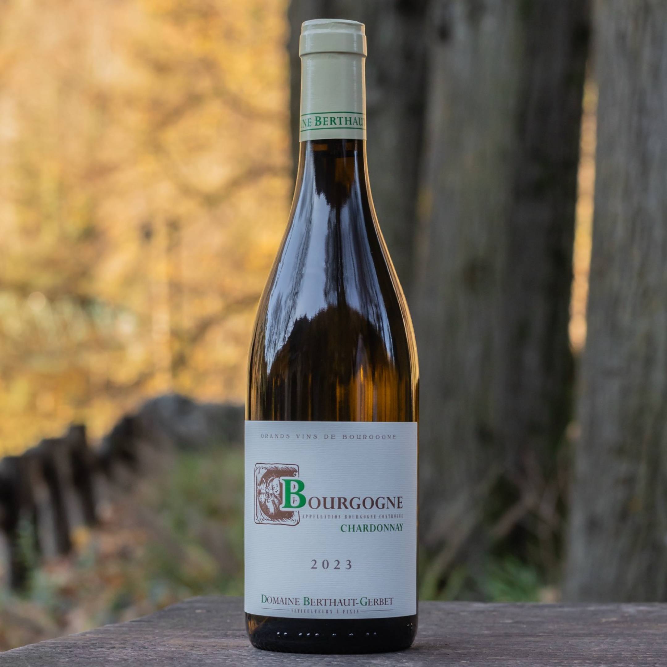Berthaut Gerbet Bourgogne Blanc 2023