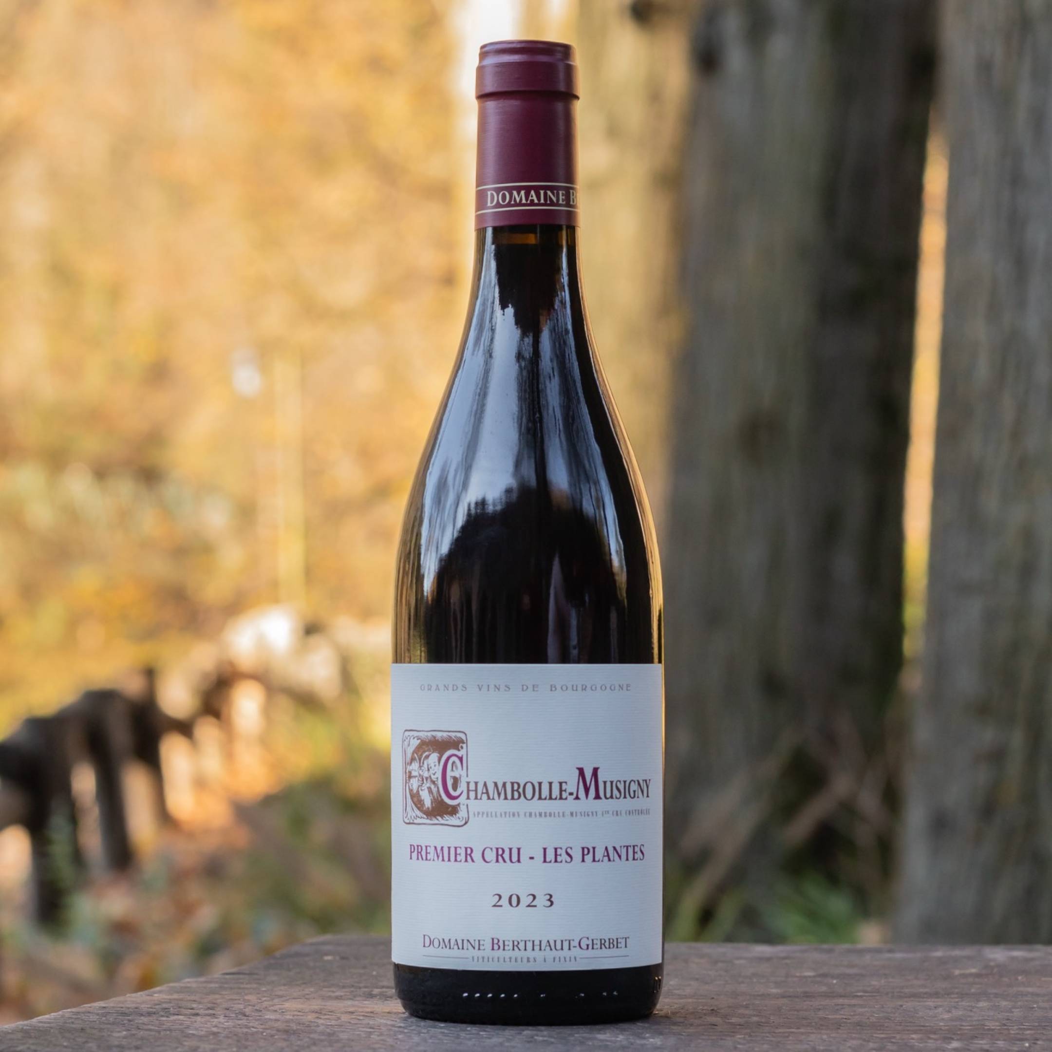 Berthaut Gerbet Chambolle Musigny 1er Cru Les Plantes 2023