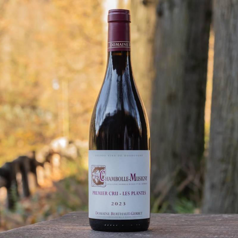 Chambolle Musigny 1er Cru Les Plantes 2023