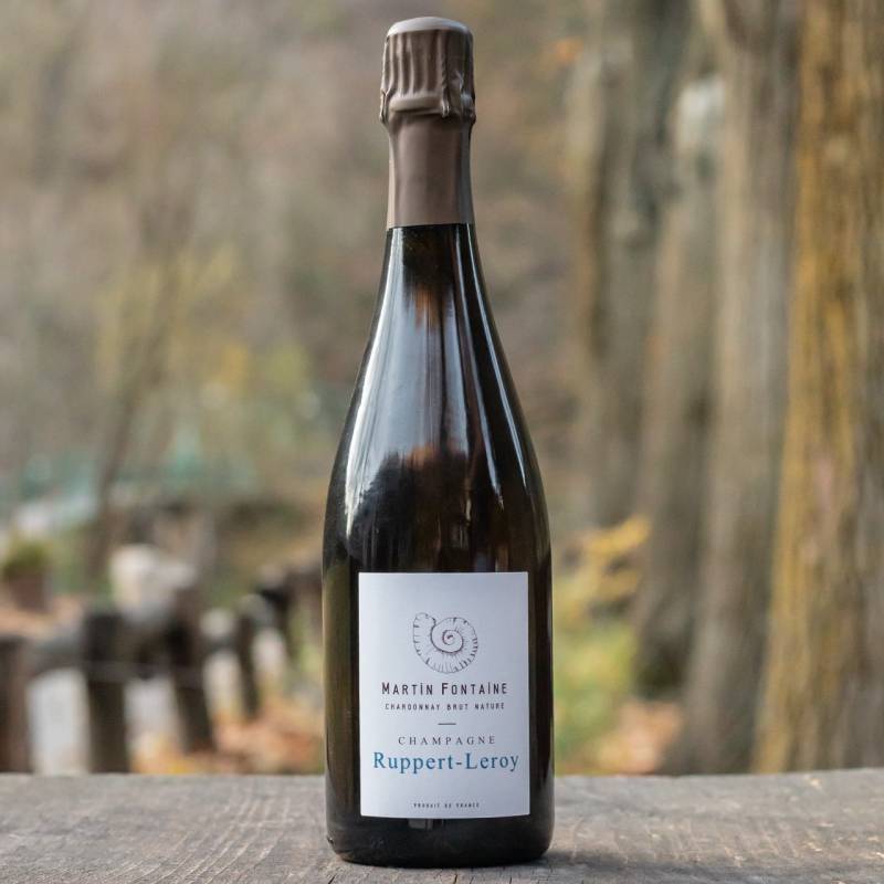 Champagne Martin Fontaine Chardonnay Brut Nature
