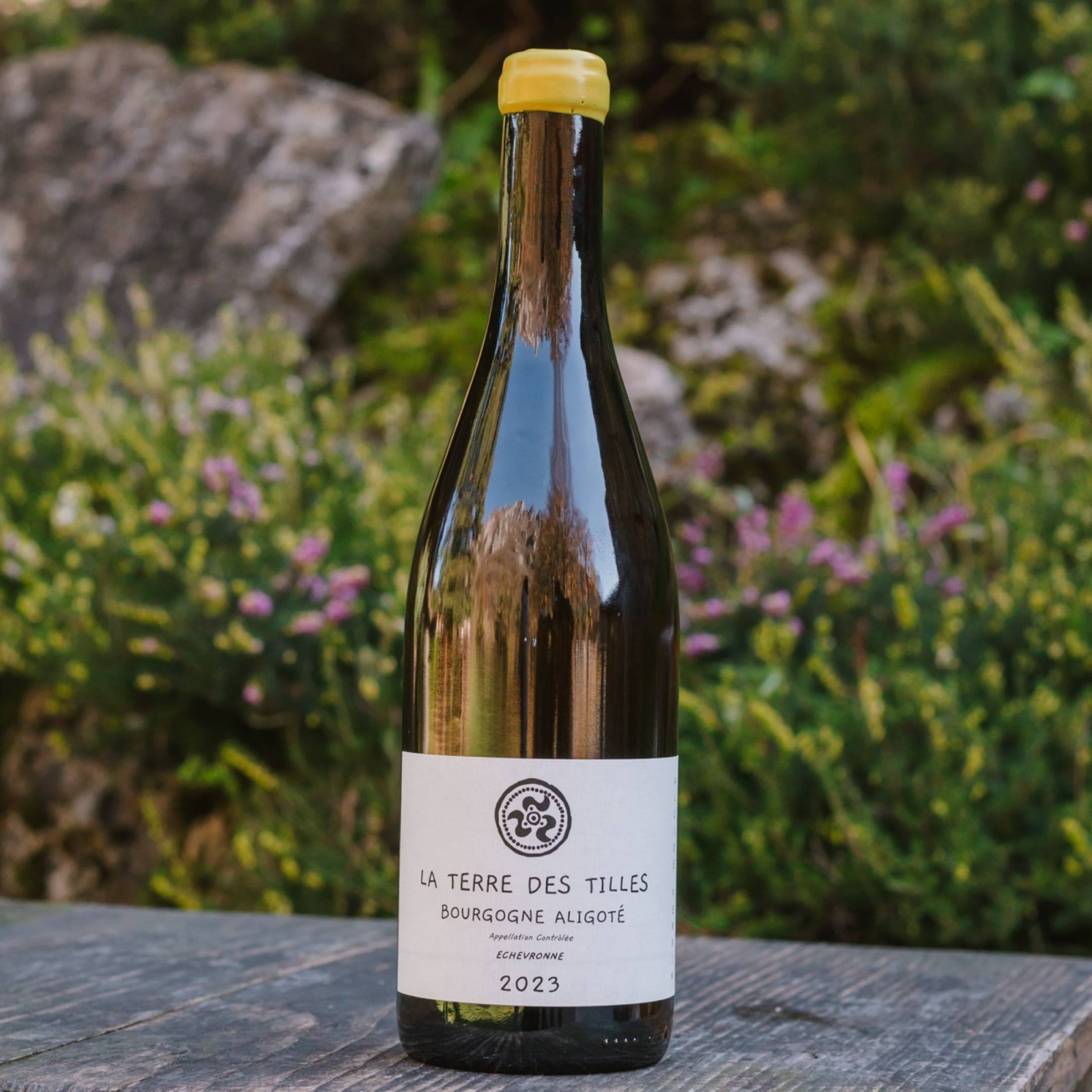 La Terre des Tilles Aligote Echevronne 2023