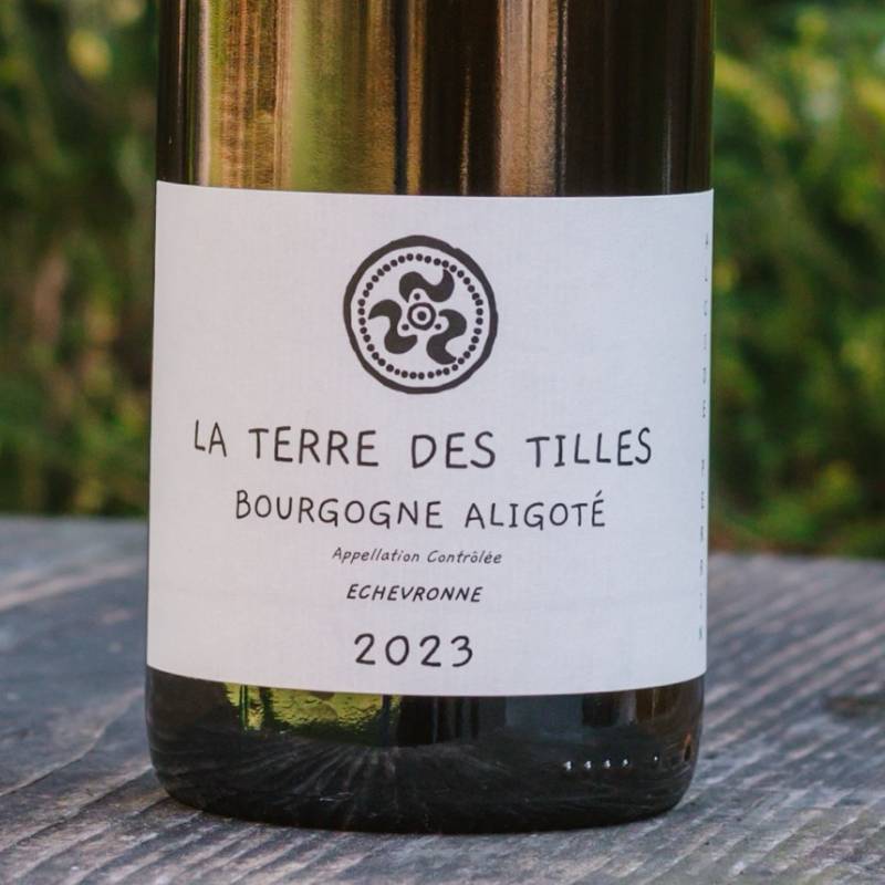 Aligote Echevronne 2023