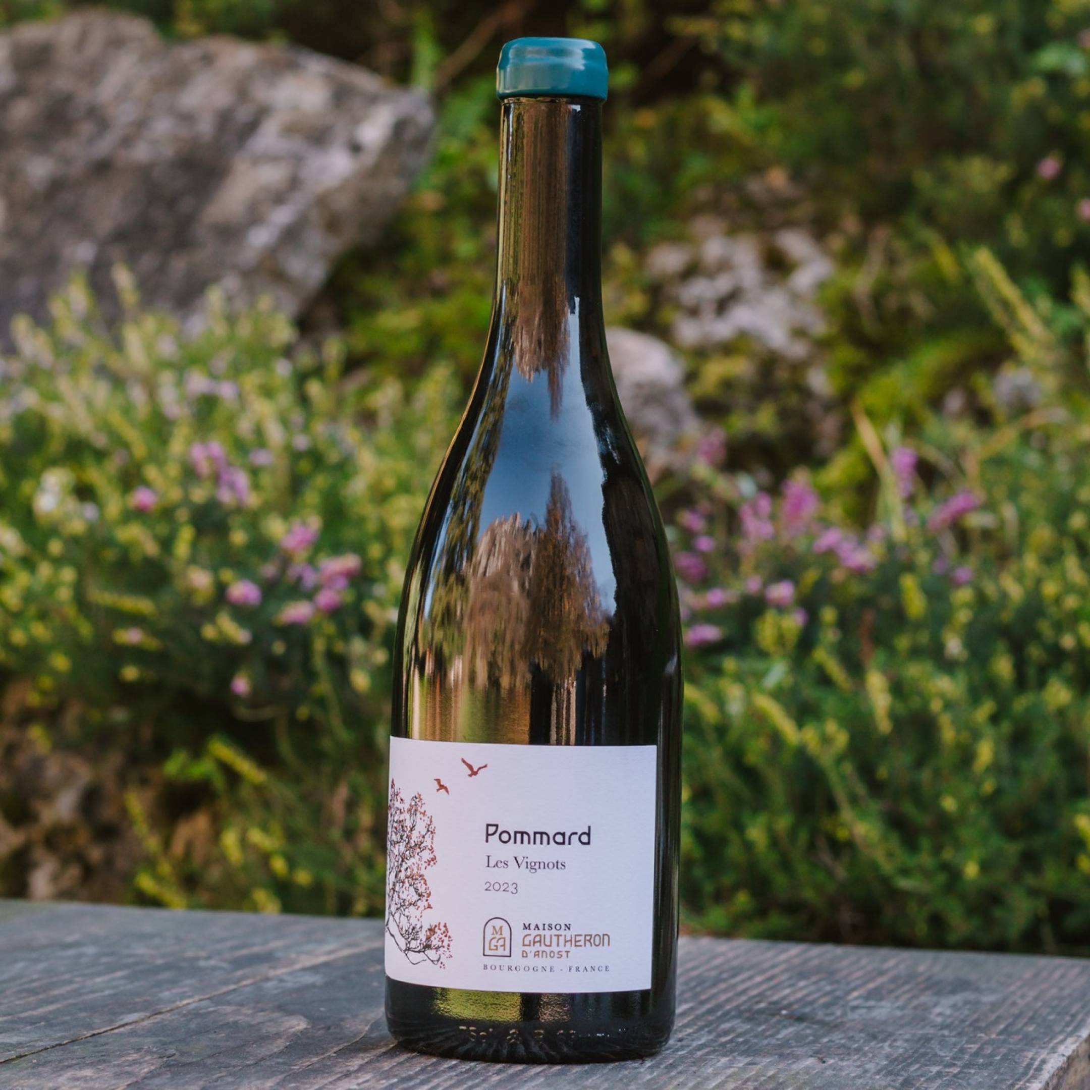 Gautheron d'Anost Pommard Les Vignots 2023
