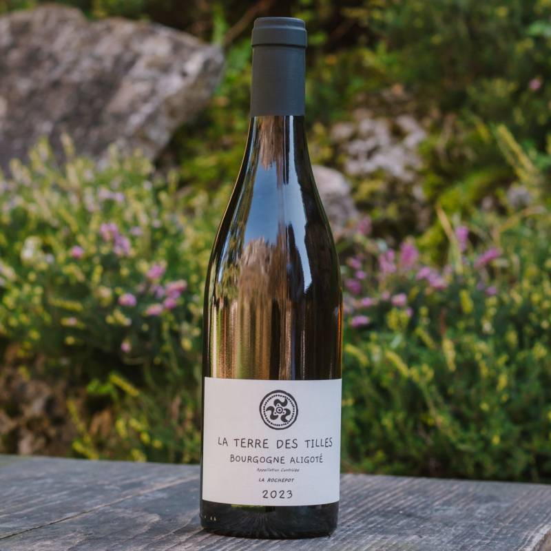 Aligote La Rochepot 2023