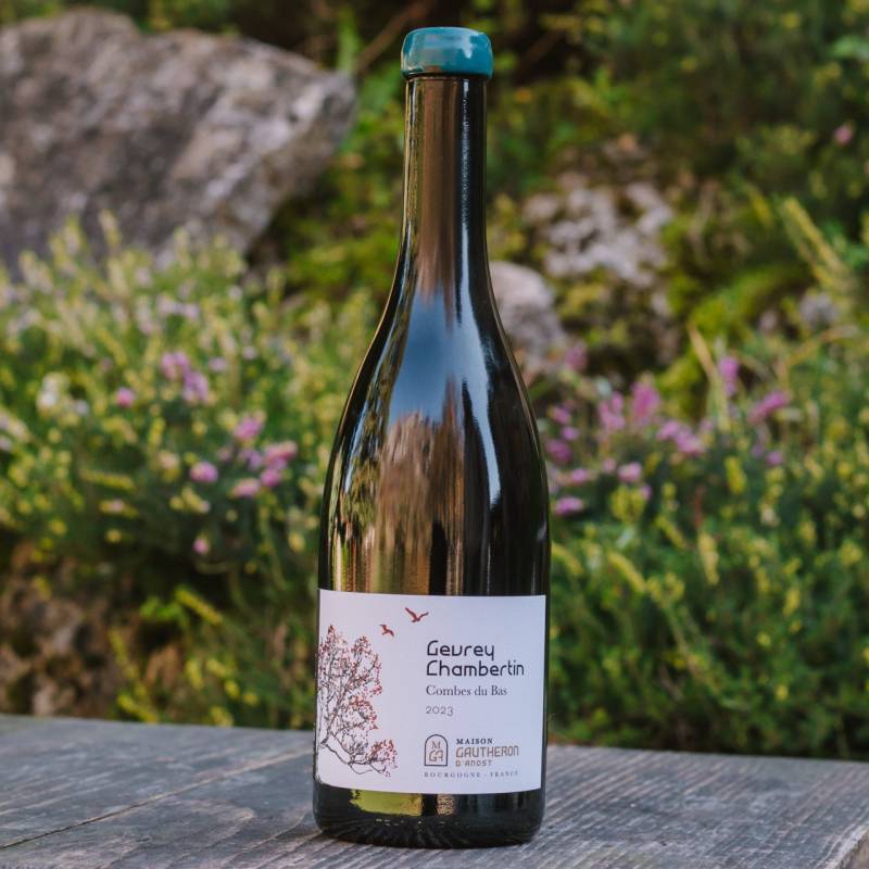 Gevrey Chambertin Combe du Bas