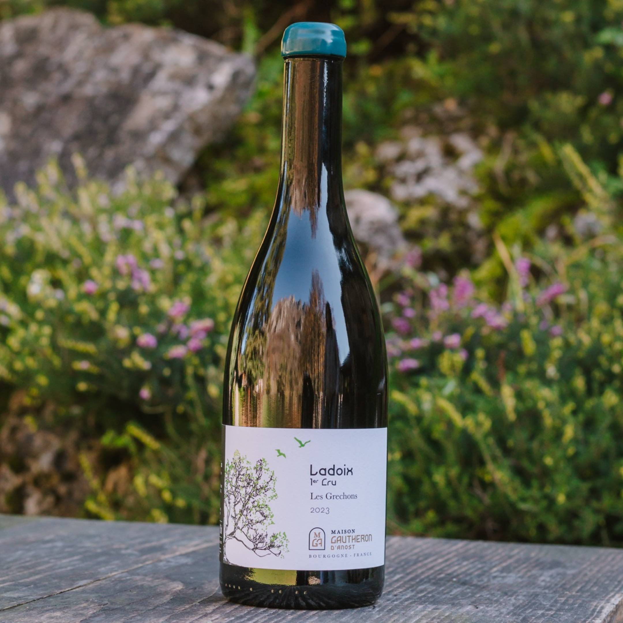 Gautheron D'Anost Ladoix 1er Cru Les Grechons