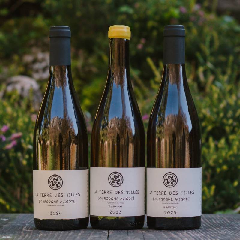 Aligote La Rochepot 2023