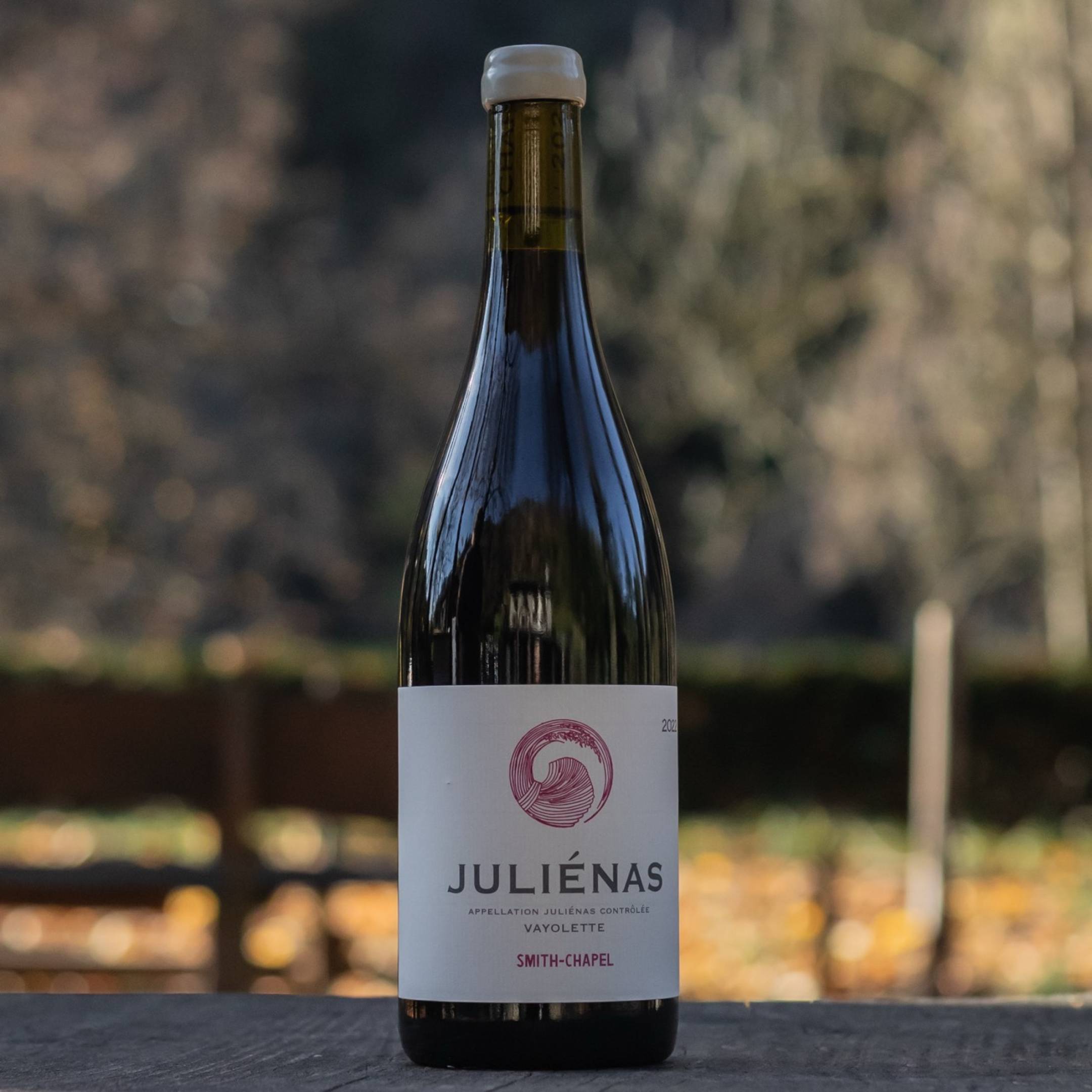 Domaine Chapel Julienas Vayolette