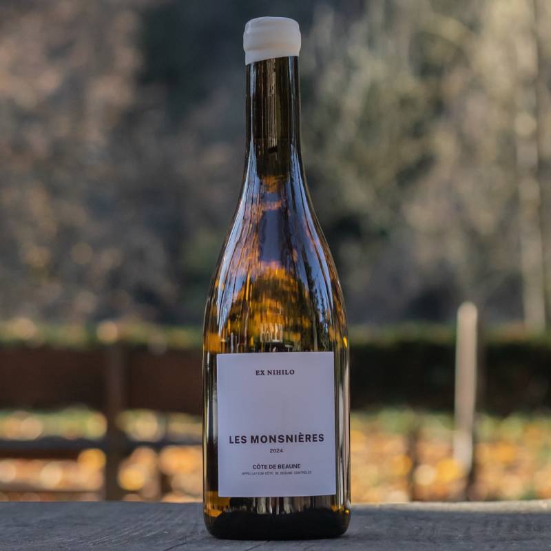 Cote de Beaune Les Monsnieres 2024