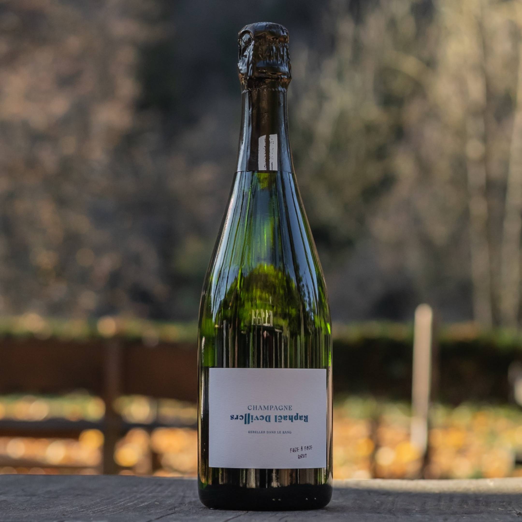 Raphael Devillers Face a Face Brut