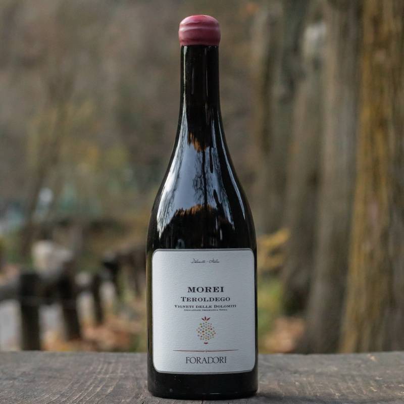 Morei Teroldego