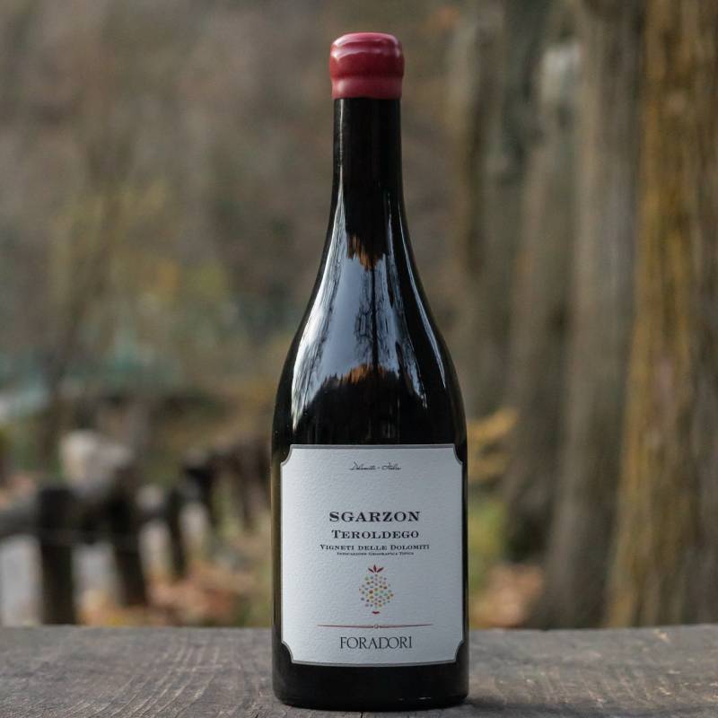 Sgarzon Teroldego 2021