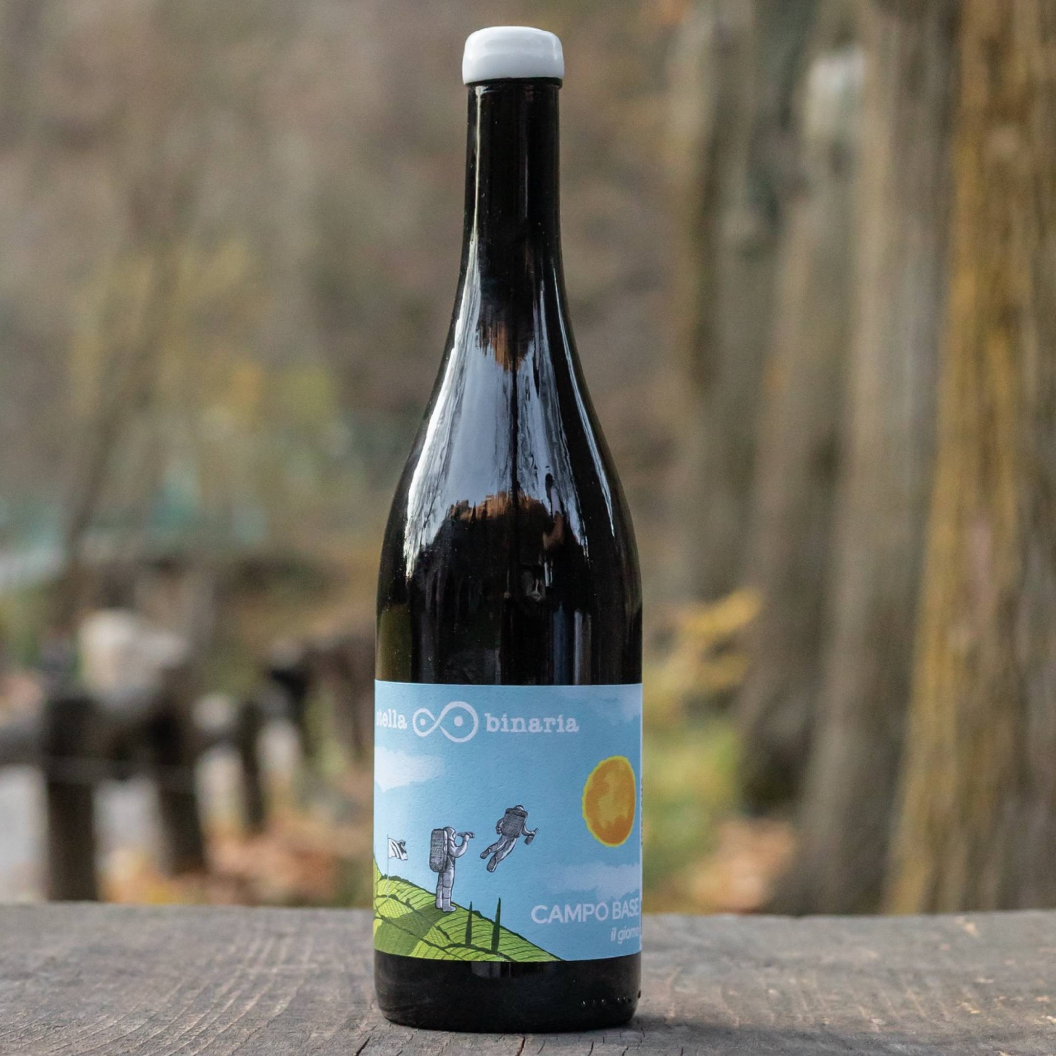 Stella Binaria Campo Base Il Giorno 2023