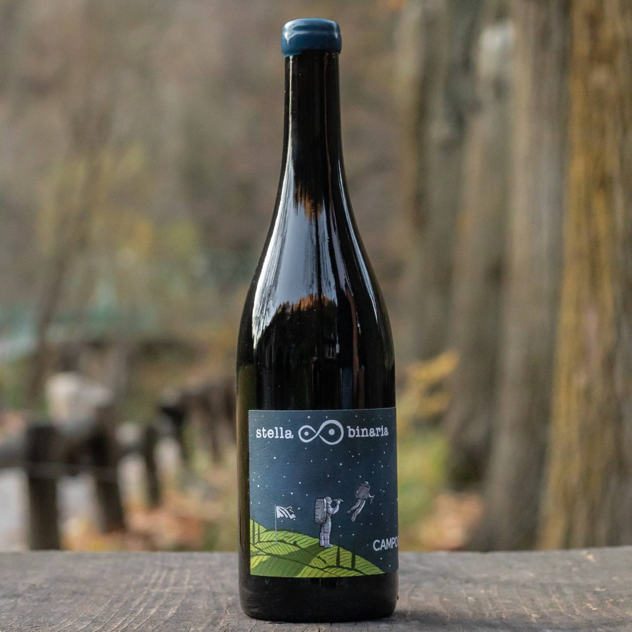 Stella Binaria Campo Base La Notte 2022