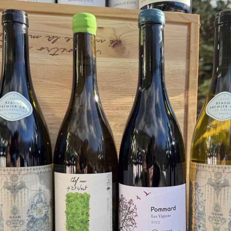 Mystery Wild Box - BURGUNDY BEST OF