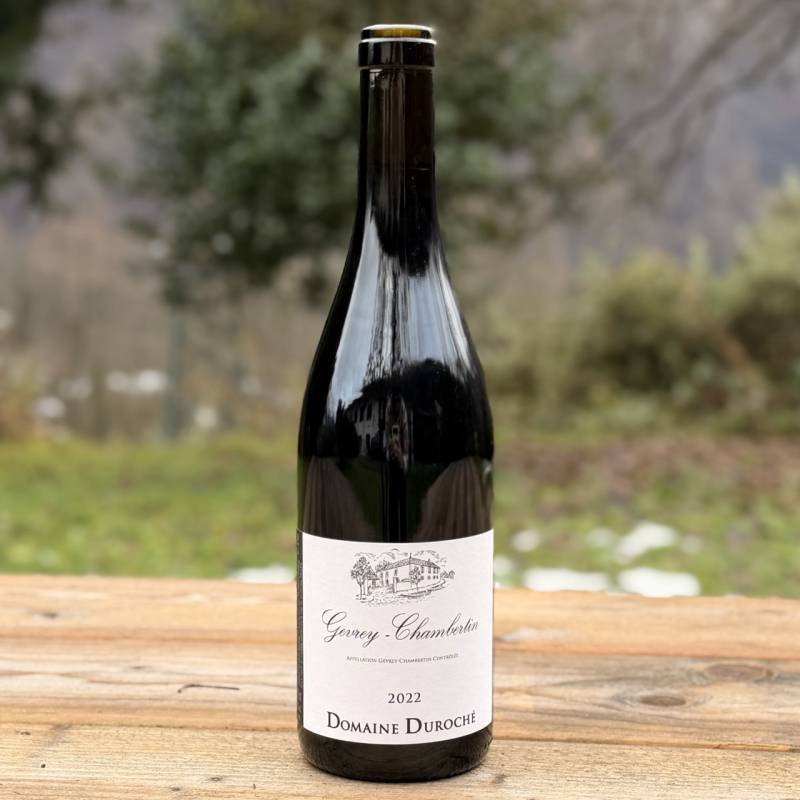 Gevrey Chambertin 2022