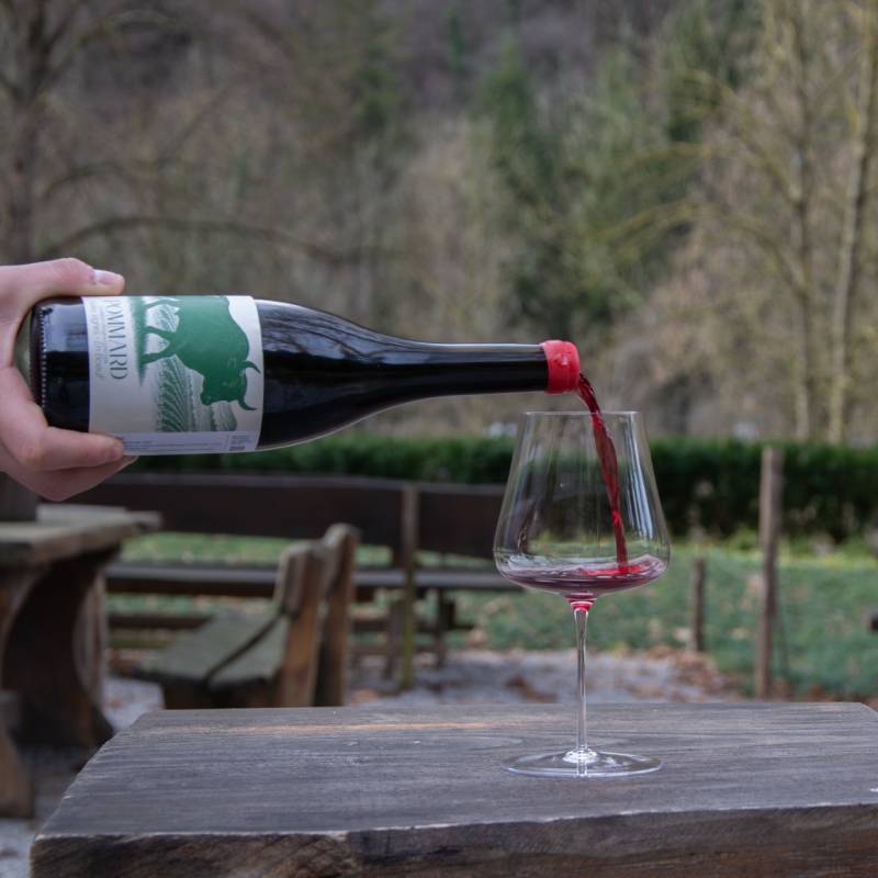 Pommard En Boeuf Vieille Vignes 2023