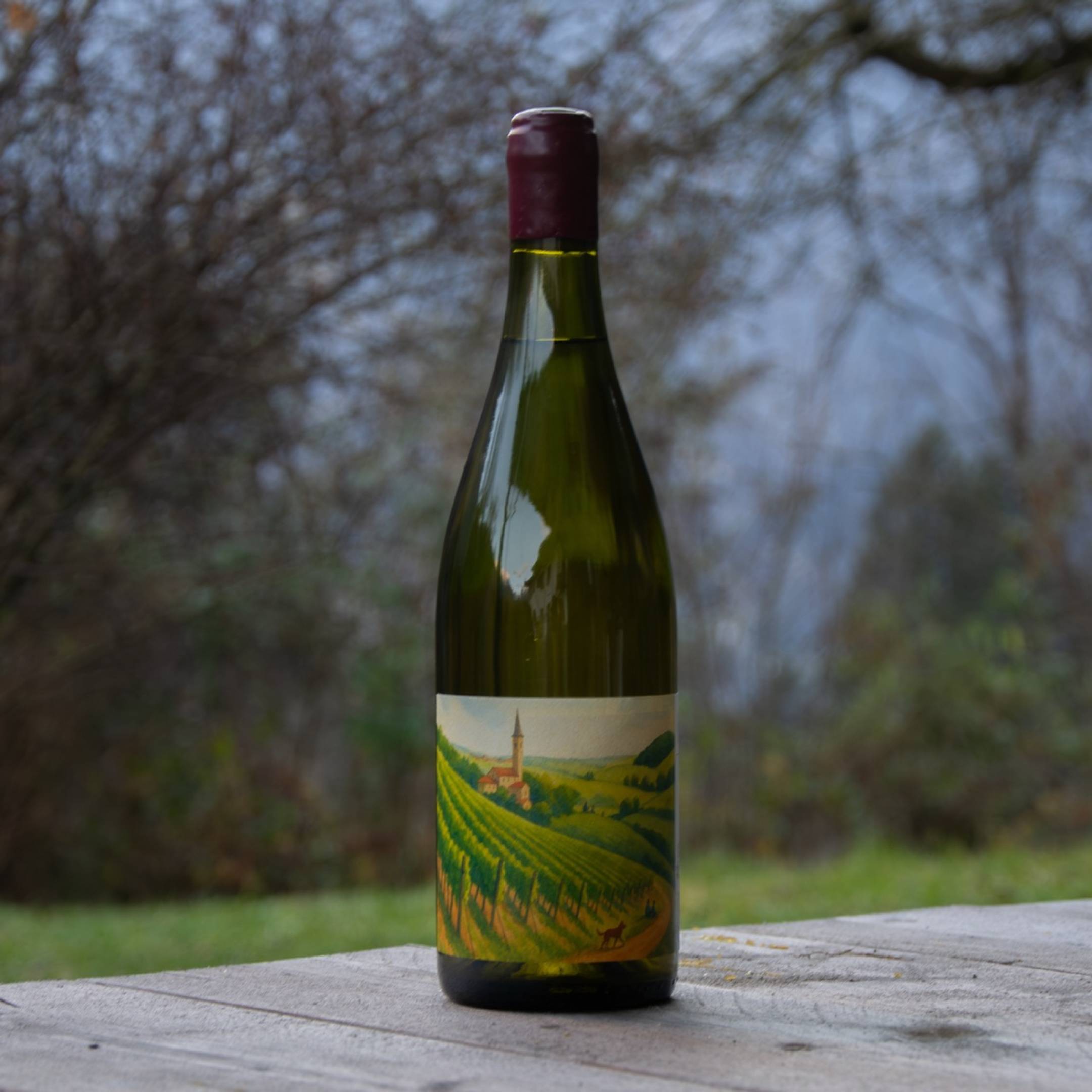 Fausto Andi Biancamaria 2020