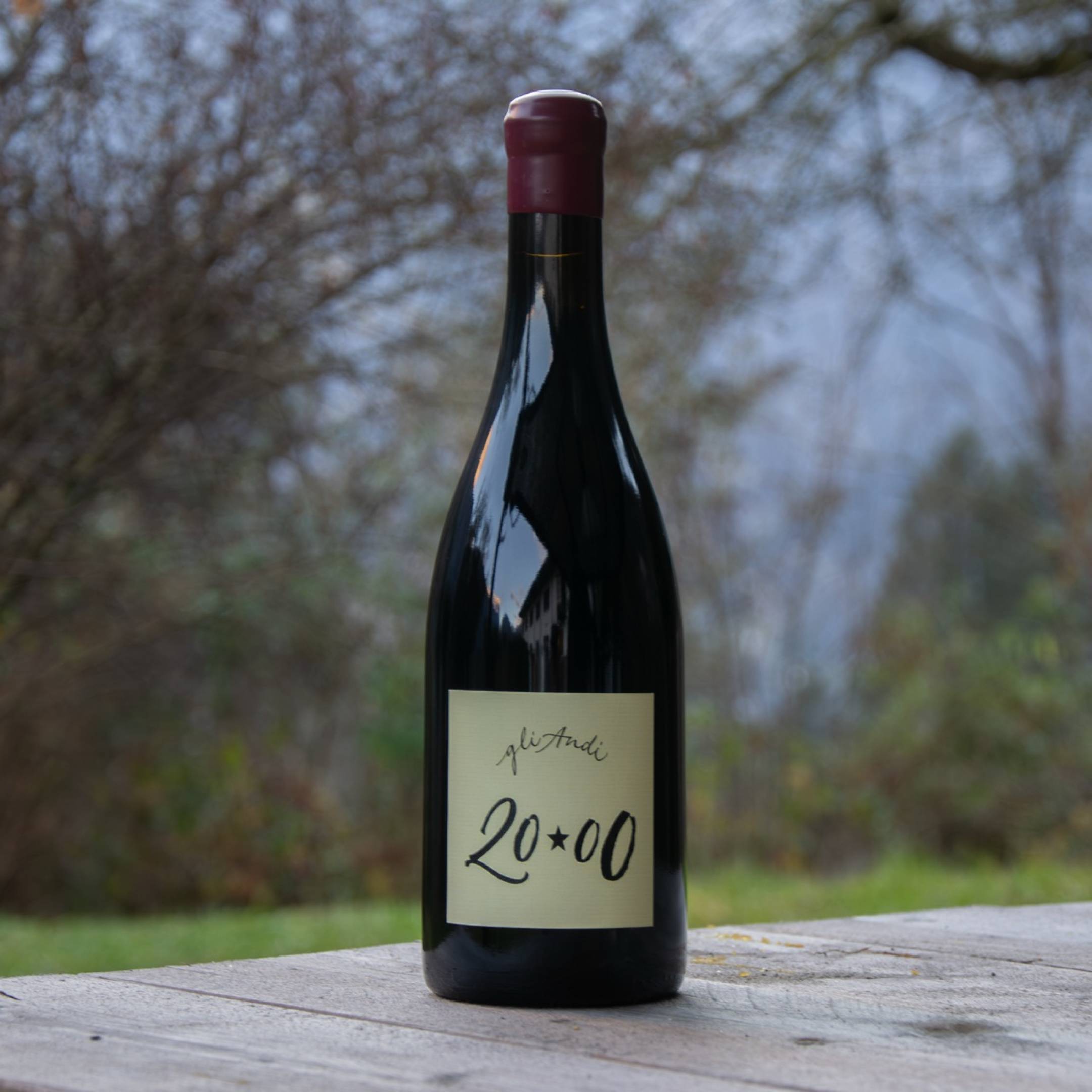 Fausto Andi Frodo 2000