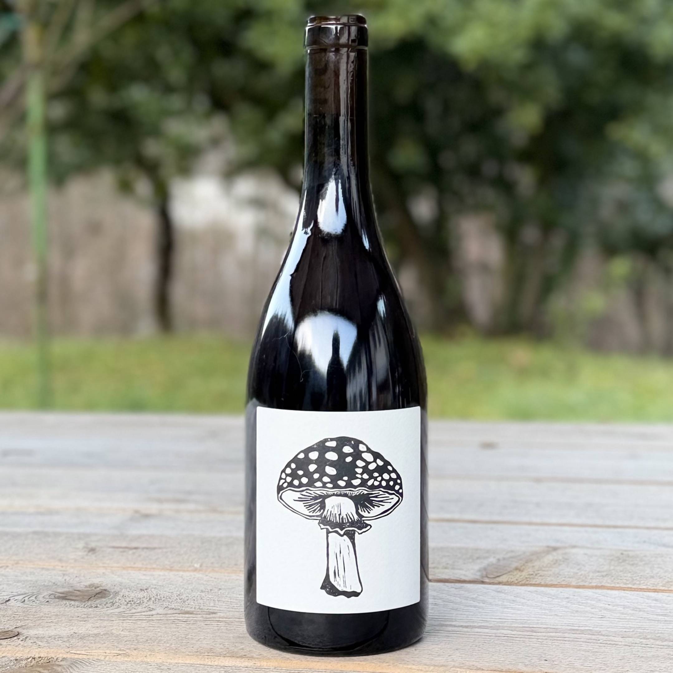 Vin Noé Jonathan Purcell Good Karma 2024