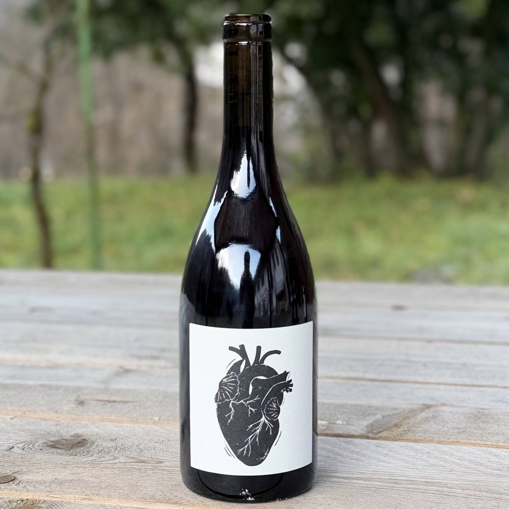 Vin Noé Jonathan Purcell Amour Vache 2024