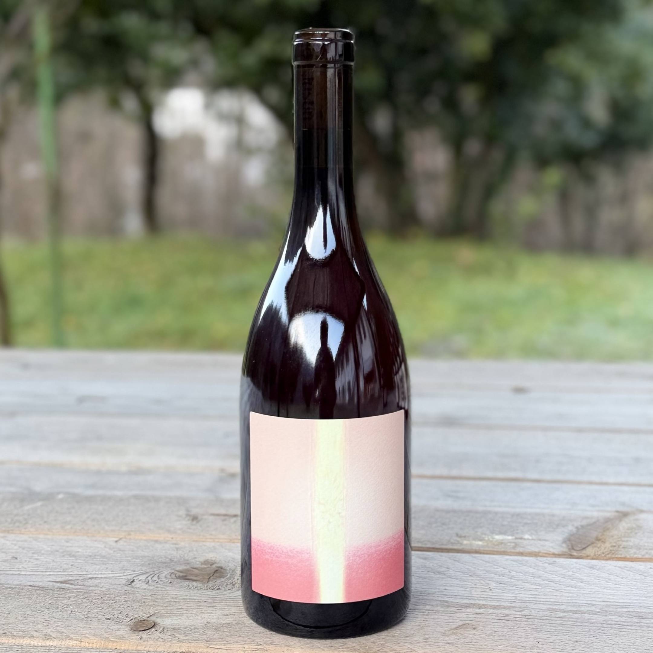 Vin Noé Jonathan Purcell T Qui Rit 2024