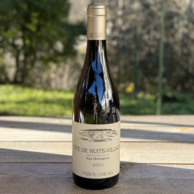 Cote de Nuits Villages Aux Montagnes 2023
