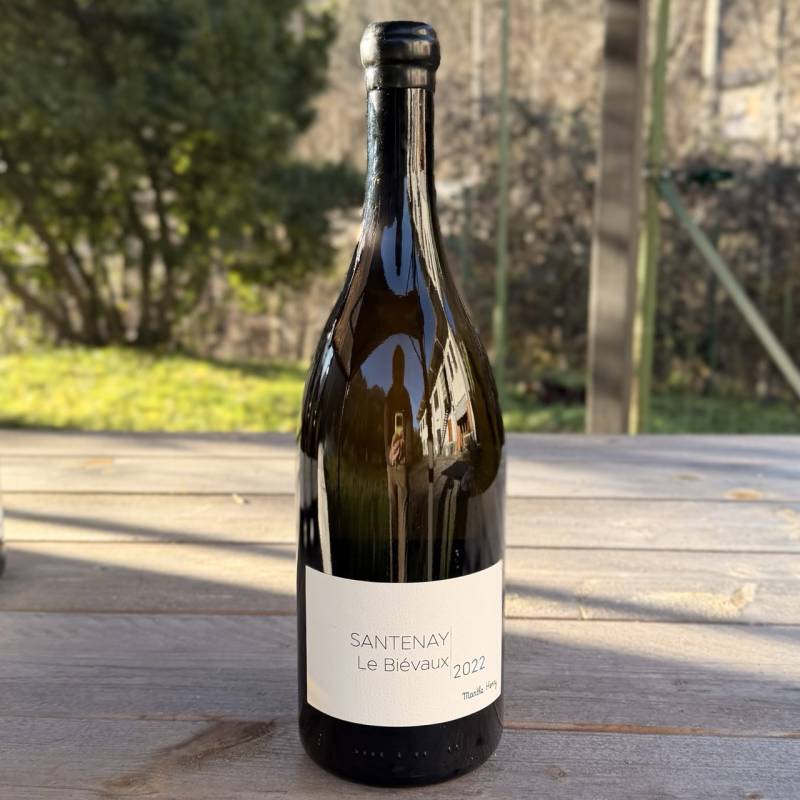 Santenay le Bievaux 2022 Magnum