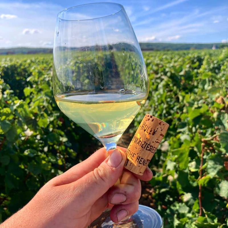 Santenay le Bievaux 2022 Magnum