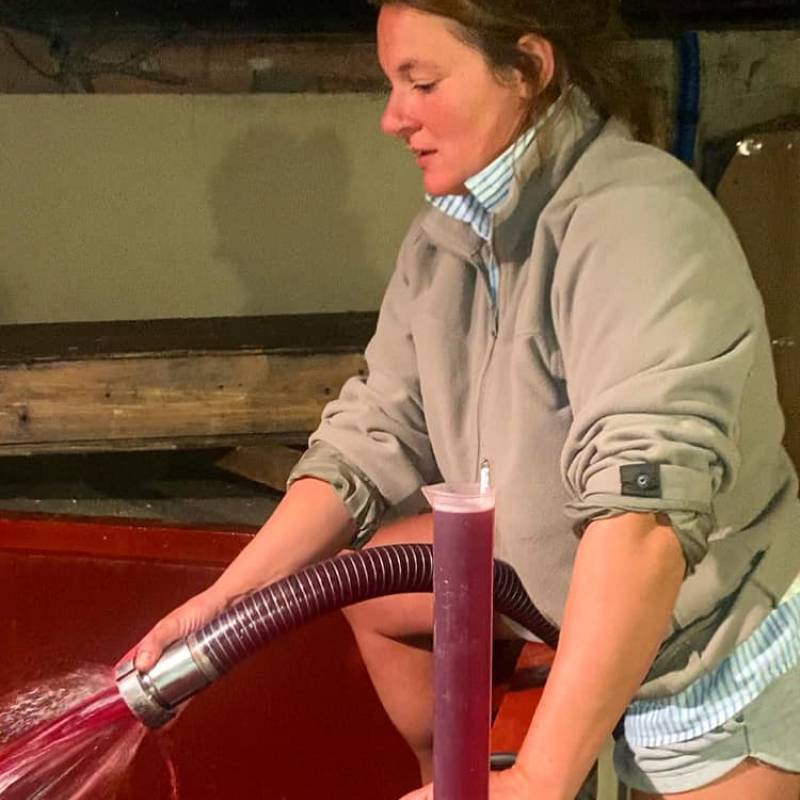 Bourgogne Aligote Magnum