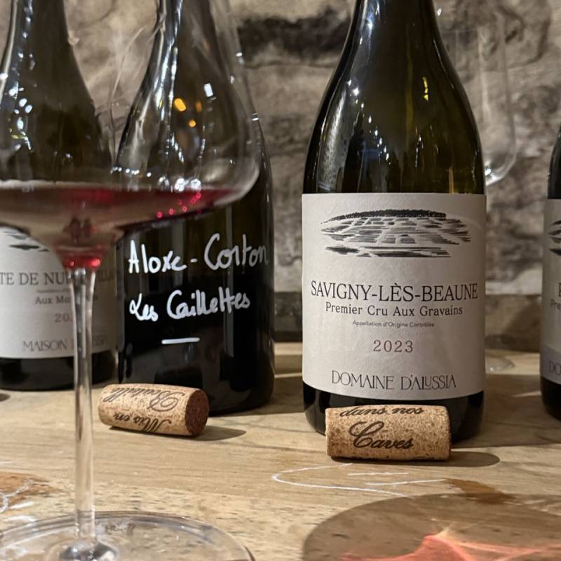 Savigny les Beaune 1er Cru Aux Gravains 2023